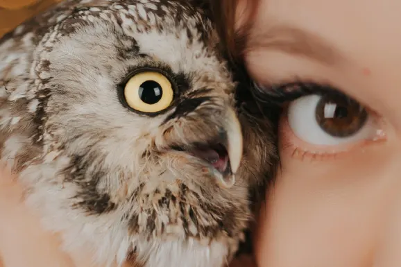 Casino Lucky Tiger Ondersteuning